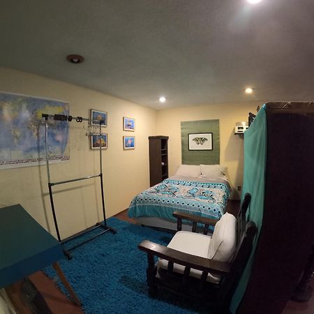 Neighbor Of Frida Khalo, Vintage Stay In Coyoacan 멕시코 시 외부 사진