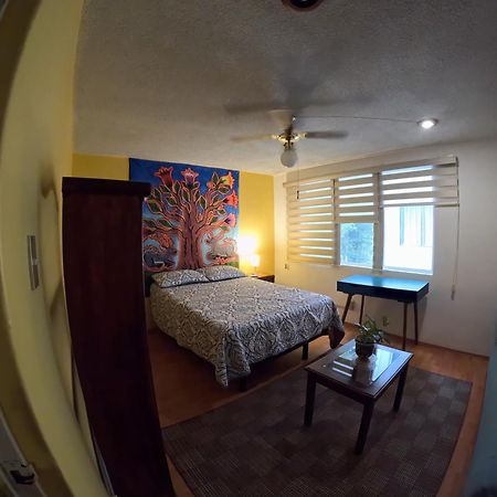 Neighbor Of Frida Khalo, Vintage Stay In Coyoacan 멕시코 시 외부 사진