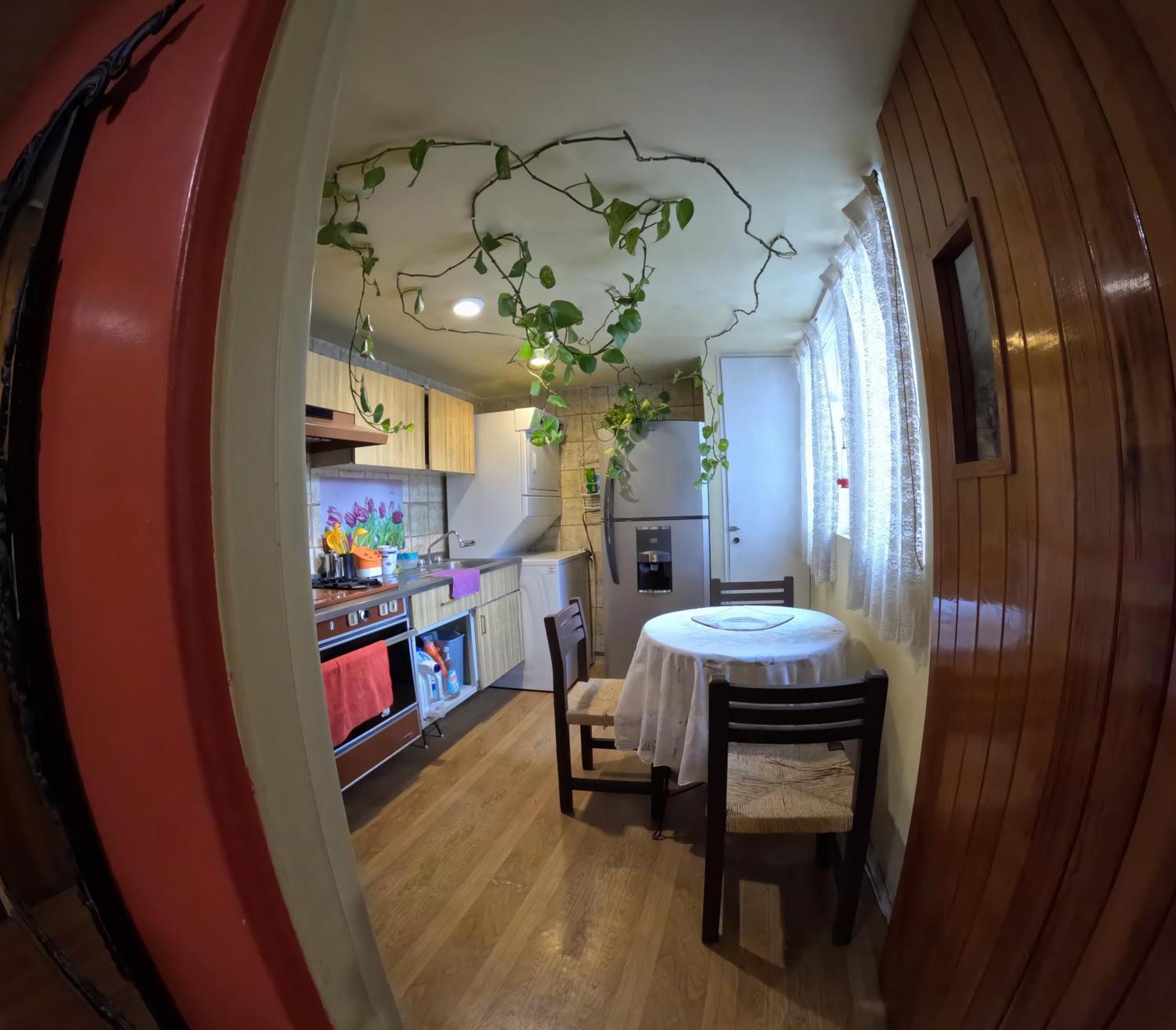 Neighbor Of Frida Khalo, Vintage Stay In Coyoacan 멕시코 시 외부 사진