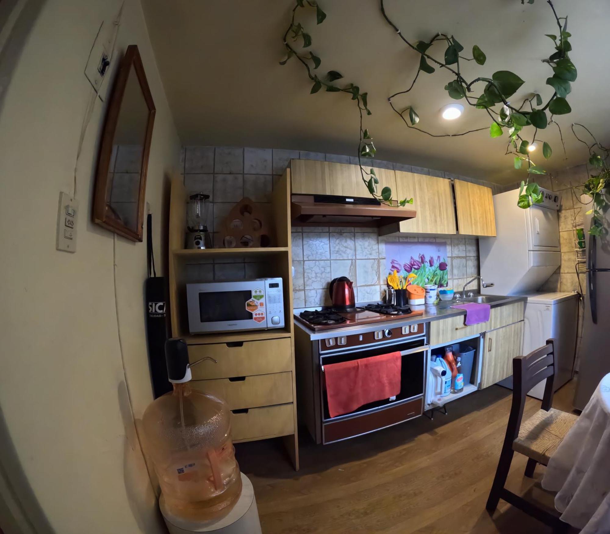 Neighbor Of Frida Khalo, Vintage Stay In Coyoacan 멕시코 시 외부 사진