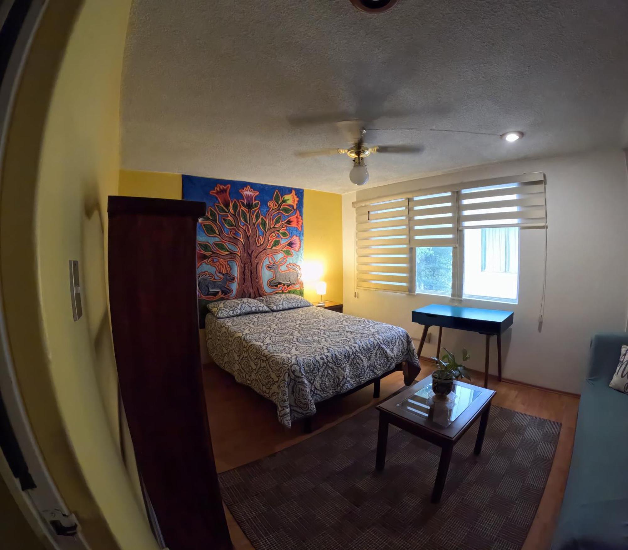 Neighbor Of Frida Khalo, Vintage Stay In Coyoacan 멕시코 시 외부 사진